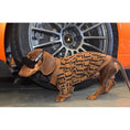 Load image into Gallery viewer, Puppy Casual Brown Sweater Clothing
