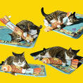 Load image into Gallery viewer, Cat grass pet cat toy
