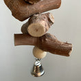 Load image into Gallery viewer, Parrot Vine Solid Wood Molar String With Bell
