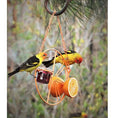 Load image into Gallery viewer, Simple Outdoor Bird Feeding And Water Feeding
