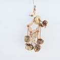 Load image into Gallery viewer, Parrot Bird Toy Wooden Nature Fruit Molar Relieving Stuffy Supplies
