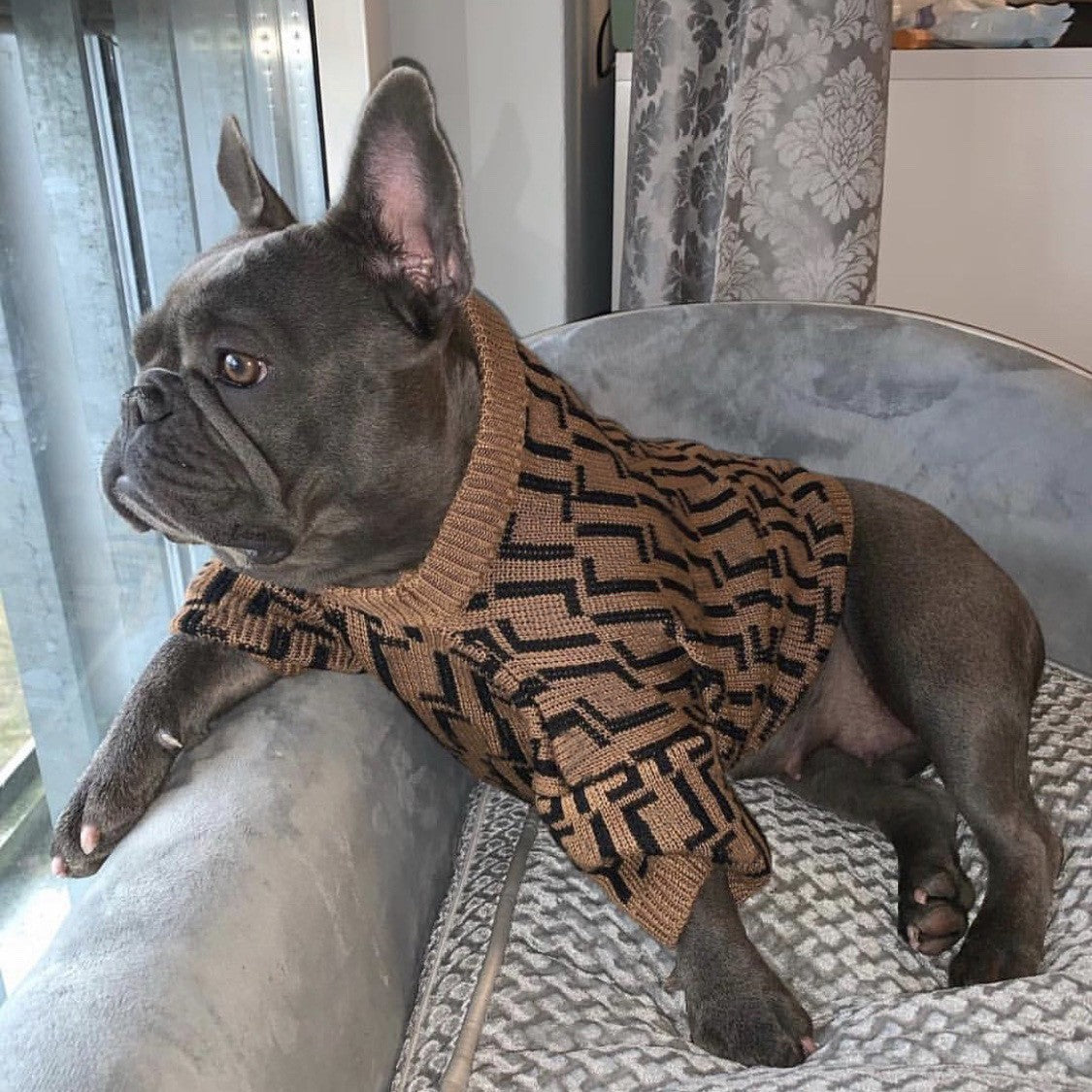 Puppy Casual Brown Sweater Clothing