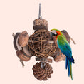 Load image into Gallery viewer, Fruit Wood Parrot Toy Bird Supplies
